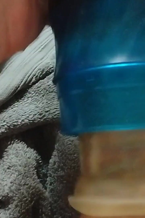 Zevk