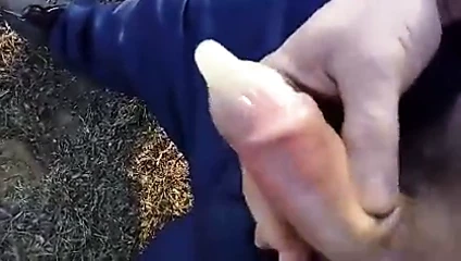 sperma