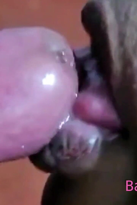 Echt bester blowjob teil 3
