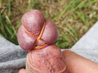 Outdoor tied cock and cum