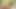 セクシーなエヴァ