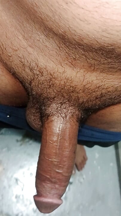 ভারতীয় বড় লিঙ্গ