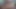 Suamiku ngentot aku dan bikin aku puas dan bahagia.