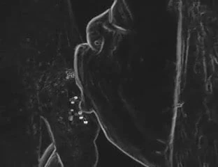 SLOPPY HEAD-CRAZY EDIT EFFECTS