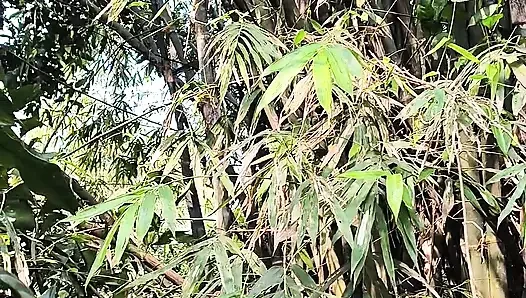 Keindahan diam-diam di tamanku