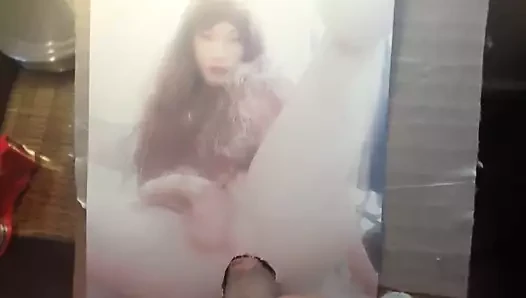 sinbi cd haraç