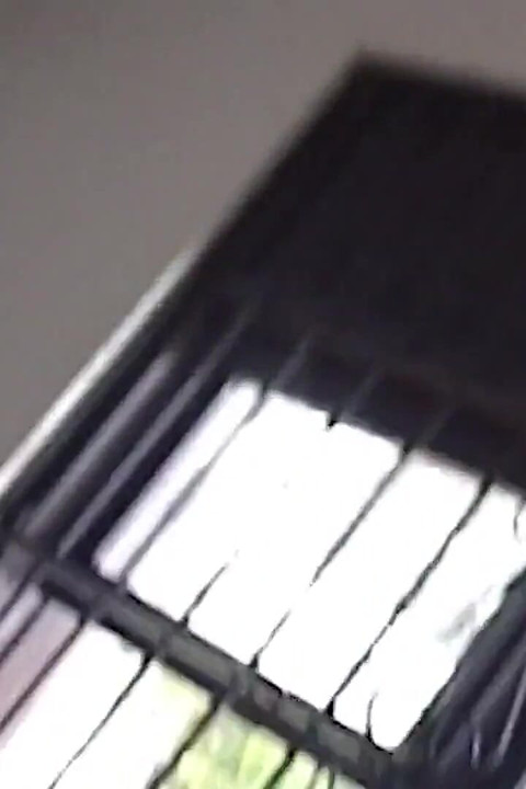 Two Sluts Playing with Each Other