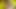 Dreadlock Girl Wants A Big Dick