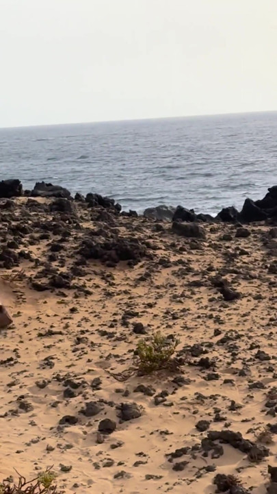 My Big Thai Tits Tremble in the Salty Wind, Hard Nipples Exposed at the Naked Beach