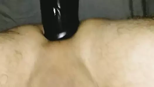 moi tanrı cheval