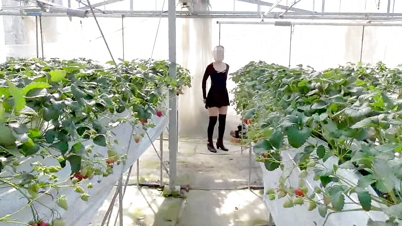 Mayu No.45 Strawberry Hunting Exposure, Immediate Oral, Swallowing Specialized