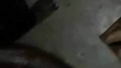 Büyük siyah bihari horoz