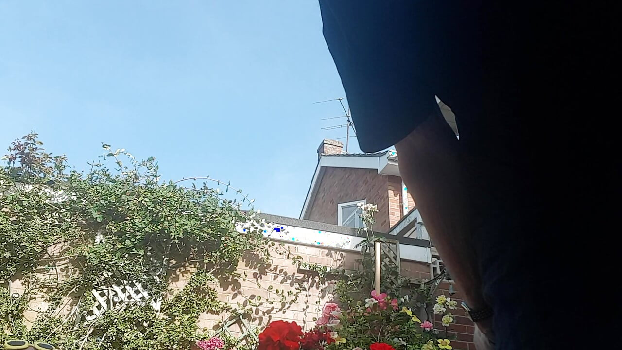 Out in the sunshine