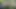 Al fresco masturbation. Daddy naked outside