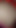 Sikiş bebeği olmak ve yüzüme yumruk sokmasına izin veriyor, amımı sikiyor ve hepsi xmas ışıkları ile bağlıyken bana boşalıyor