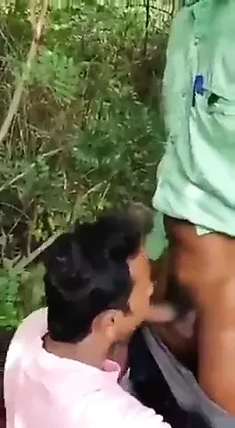 Lankan 숲 게이