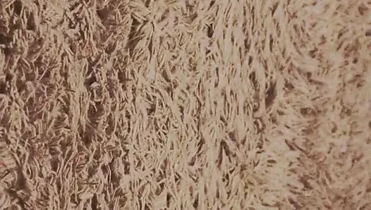 Delicious long masturbation with a beautiful, hard penis