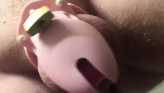 Smallclittysissy iffet kafesi