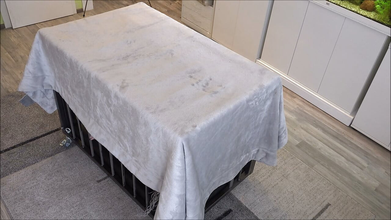 快楽のために使われる性奴隷