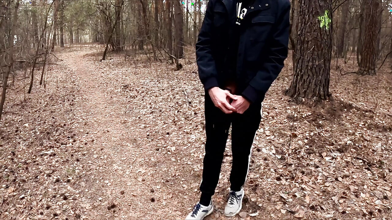 The Guy Walks with A Vibrator in The Park and Masturbates