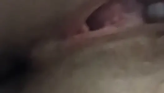 Pussy Playing
