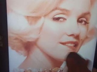 Marilyn Monroe ejaculează în tribut