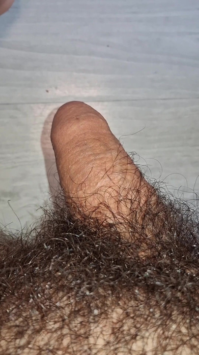 Kontol berbuluku