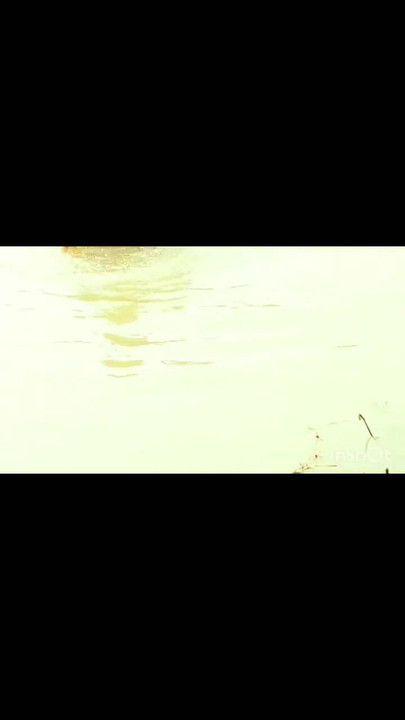 Powerful moment from "Outdoor fun and taking bath in river"