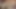 Indian desi sex with 3 ladies