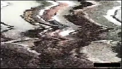 HOT CUMPIGS  BMQ