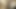 Indian wife jumping on cock