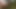Naked in the woods and fast jerking off