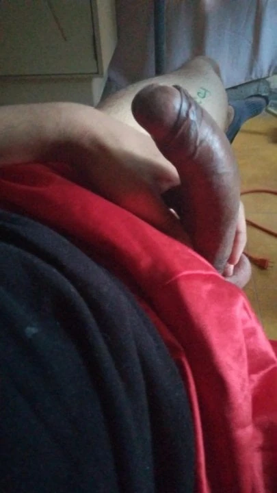 Mi verga juguetona
