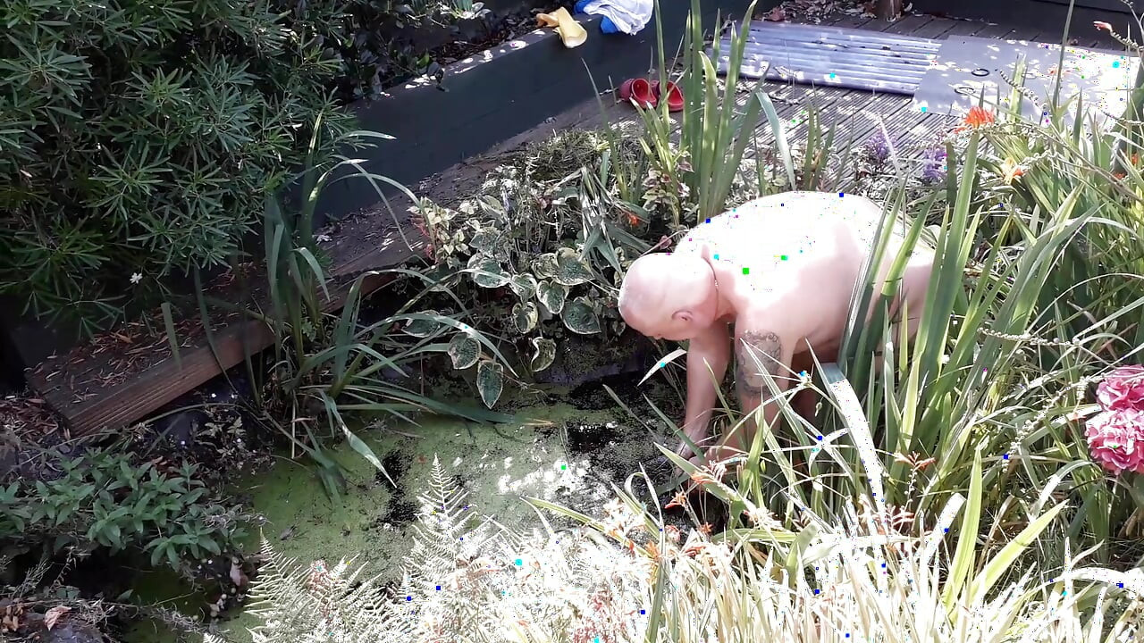 The life of a naked handyman, called next door to clean out the pond