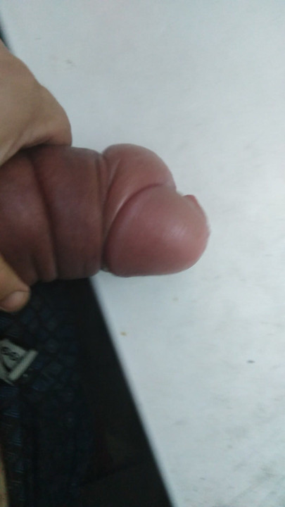 Pumpdick