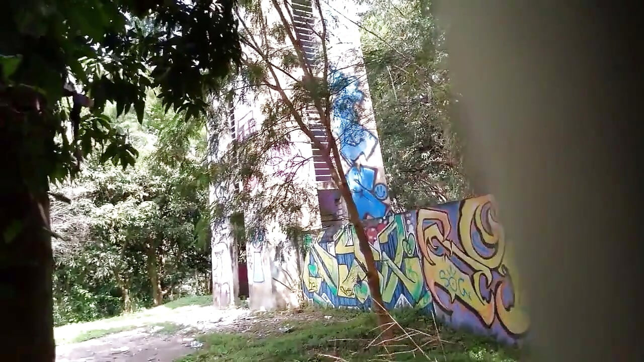 Sex in the Forest