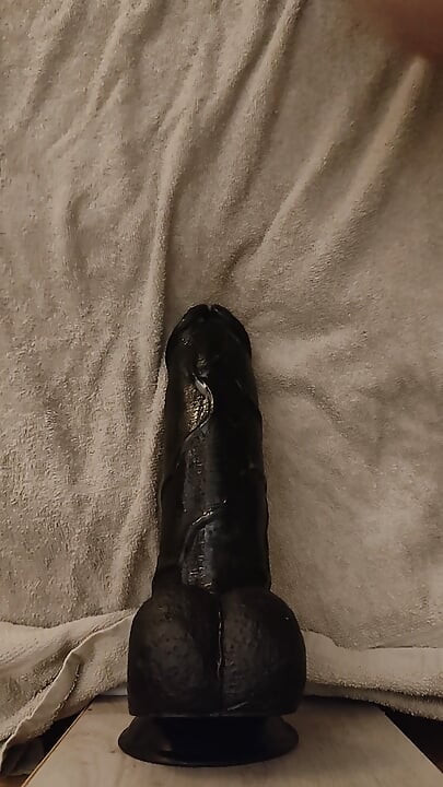 Black behemoth doggy
