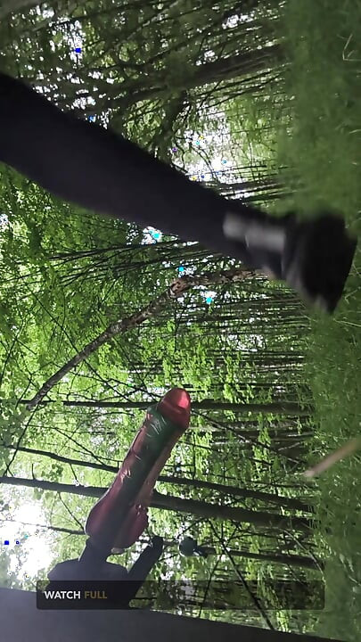 Eu fui para a floresta para pegar uma árvore