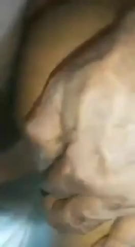 Koapim tait ass