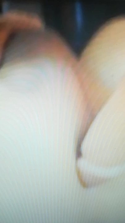 Play with my dildo