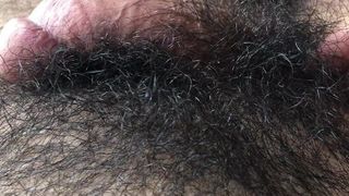 Hairy Cock Waking up