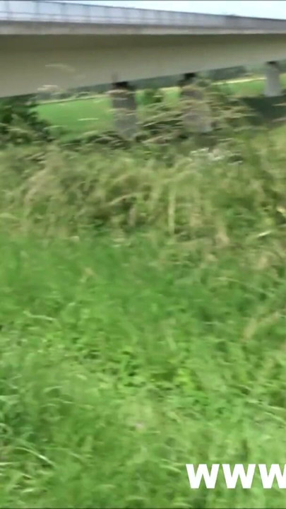 Am fost prea naiva? Un barbat pervers imi fut gura | Clip 1
