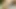 Another Blowjob Video - Blowjob Series by Divya