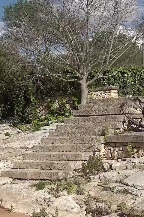 Padrasto e enteado compartilham sua meia-irmã