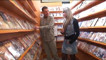 Pratinjau video