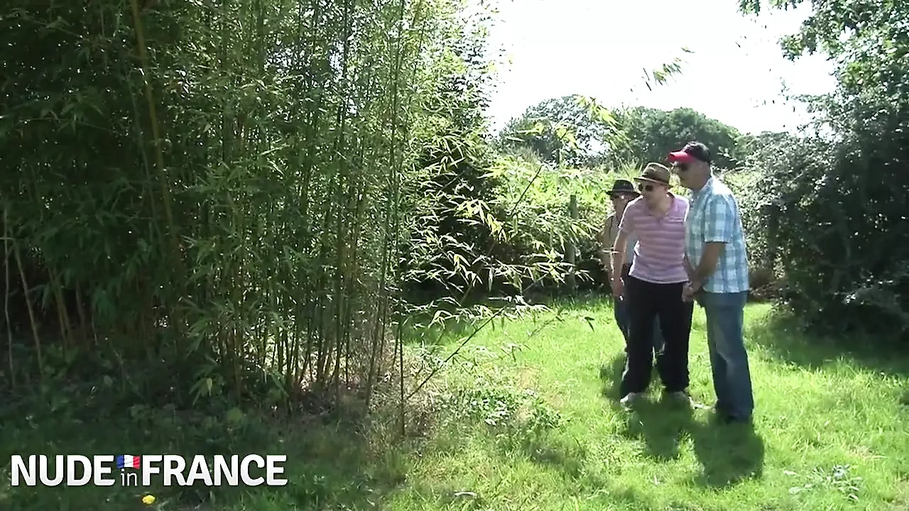 裸体主义者黑发女郎在户外群交