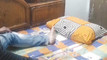 Pregled videozapisa