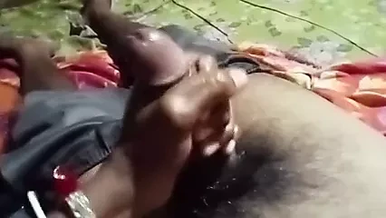 섹스하는 인도 황소