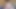 ペニスを引っ張る