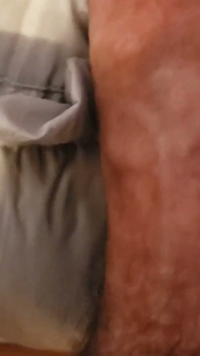 Down Jacket Play on Big Leather Sofa | Clip 1